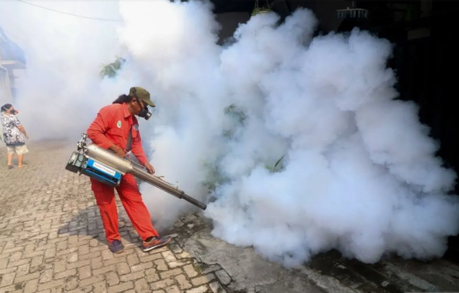 Indonesia logs threefold increase in dengue cases ảnh 1 Indonesia logs threefold increase in dengue cases ảnh 1