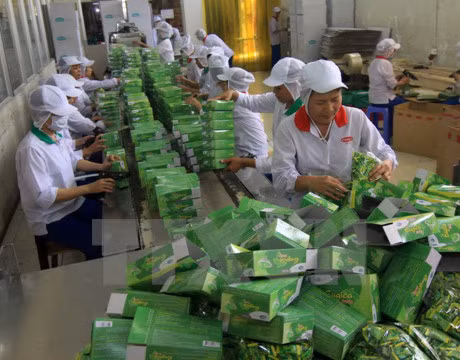 Global economic integration requires green technology: forum ảnh 1