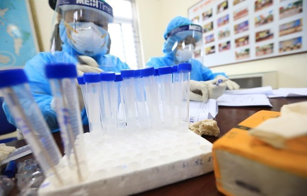 COVID-19: No new cases reported over past 12 hours ảnh 1 COVID-19: No new cases reported over past 12 hours ảnh 1