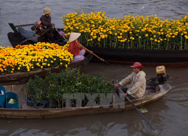 Cai Rang Floating – A must-see place in Mekong Delta ảnh 1