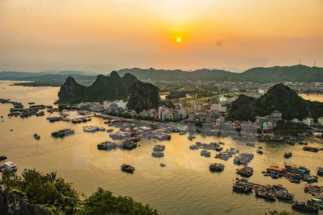 Law on special economic units aims to create new momentum ảnh 1 Law on special economic units aims to create new momentum ảnh 1