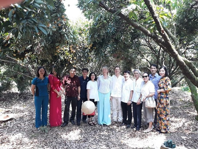 Swedish ambassador highly values quality of Thanh Ha litchi ảnh 1
