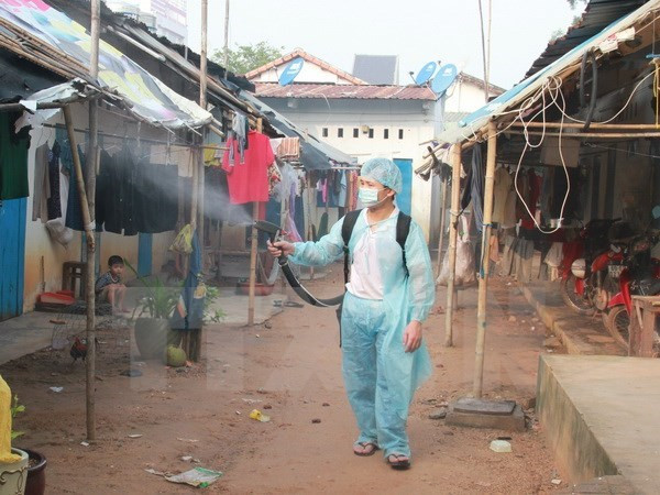 Can Tho city reels from dengue outbreak ảnh 1