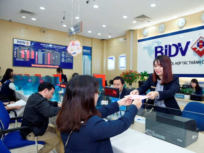 Financial experts urge caution against dollar loans ảnh 1