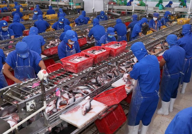 Seafood exports to China surge ảnh 1