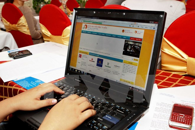 Good prospects for e-commerce in Vietnam ảnh 1