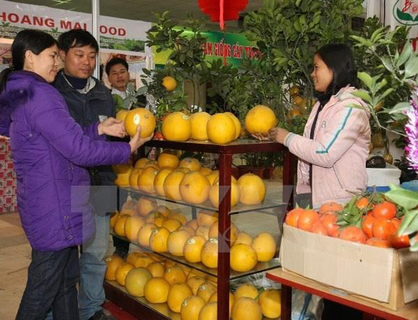 Spring Fair to offer consumer goods for Tet ảnh 1 Spring Fair to offer consumer goods for Tet ảnh 1