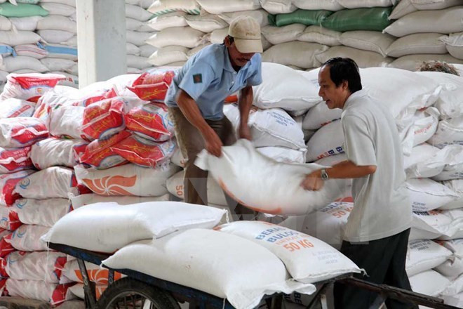 Vietnam hopeful about rice export in 2016 ảnh 1