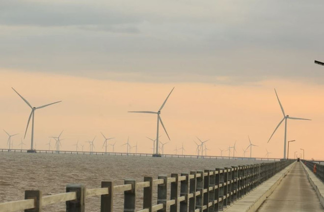 Green hydrogen development opens up opportunities for carbon credit exports ảnh 1 Green hydrogen development opens up opportunities for carbon credit exports ảnh 1