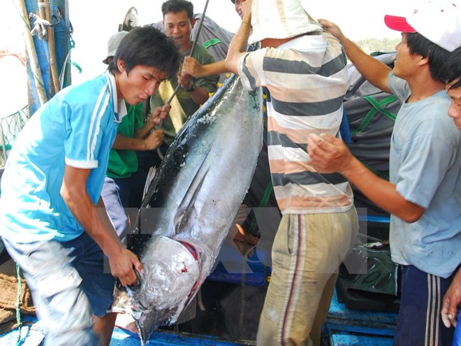 Agro-forestry-fishery export picks up 5.5 percent ảnh 1