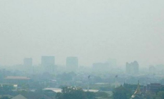 Thai gov’t scrambles to contain wildfires and haze ảnh 1