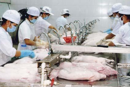 Vietnam sees rise in export of breeding products ảnh 1