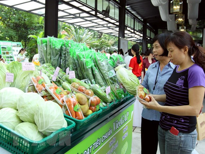 Nearly 80 percent of fruit stores in Hanoi meet safety standards ảnh 1
