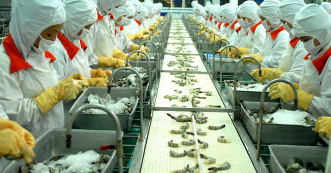 Bumper harvest boosts fisheries’ profits, shares ảnh 1 Bumper harvest boosts fisheries’ profits, shares ảnh 1