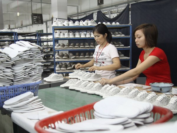 TPP to open up ​​investment opportunities in Vietnam: expert ảnh 1