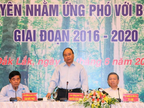 Government declares closing of natural forests ảnh 1 Government declares closing of natural forests ảnh 1