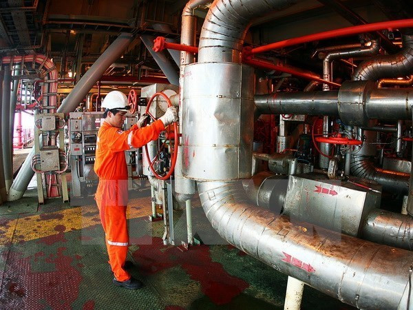 Vietnam, Russia foster cooperation in oil and gas ảnh 1