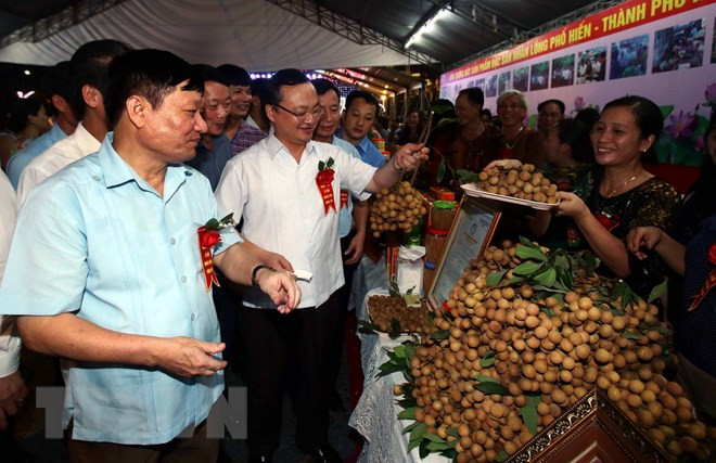 Longan Festival 2018 opens in Hung Yen province ảnh 1