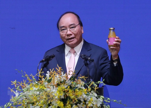 Prime Minister envisions Can Tho as worth-living city ảnh 1