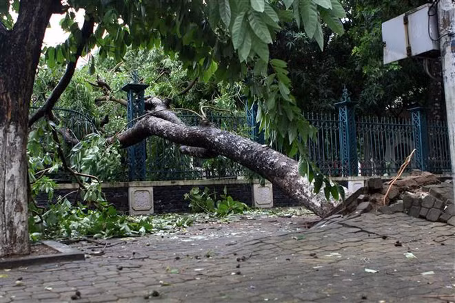 Storm Talas weakens after sweeping through Central Vietnam ảnh 1