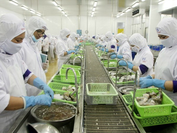 Ca Mau moves to expand shrimp export market ảnh 1