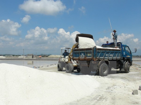 Unsold salt volume falls in first six months ảnh 1