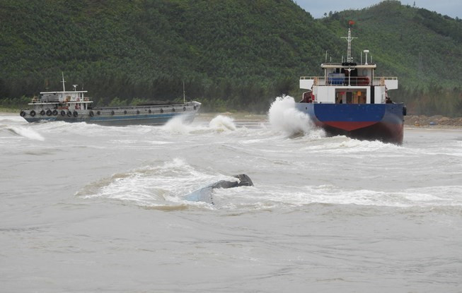 Deputy PM Trinh Dinh Dung directs response to storm Talas consequences ảnh 1