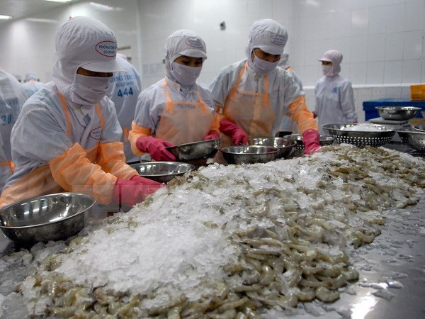 Shrimp export up nearly 16 pct in first half ảnh 1
