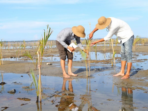 Vietnam asserts role in ASEAN cooperation in environment ảnh 1 Vietnam asserts role in ASEAN cooperation in environment ảnh 1
