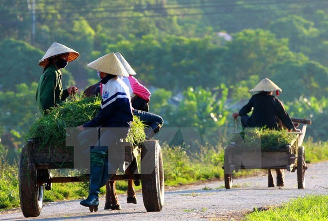 Central Highlands: 100 communes recognised as new-style rural areas ảnh 1 Central Highlands: 100 communes recognised as new-style rural areas ảnh 1