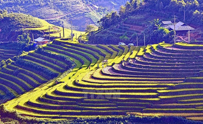 Eight Tay Bac localities enjoy fruitful tourism cooperation ảnh 1