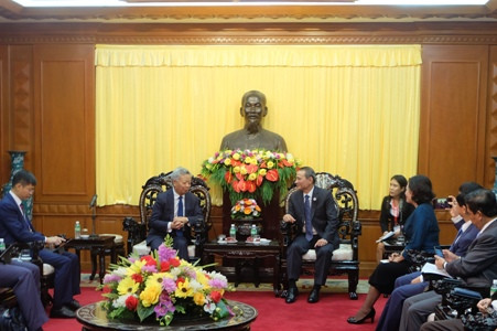 AIIB wants to help Da Nang develop infrastructure ảnh 1