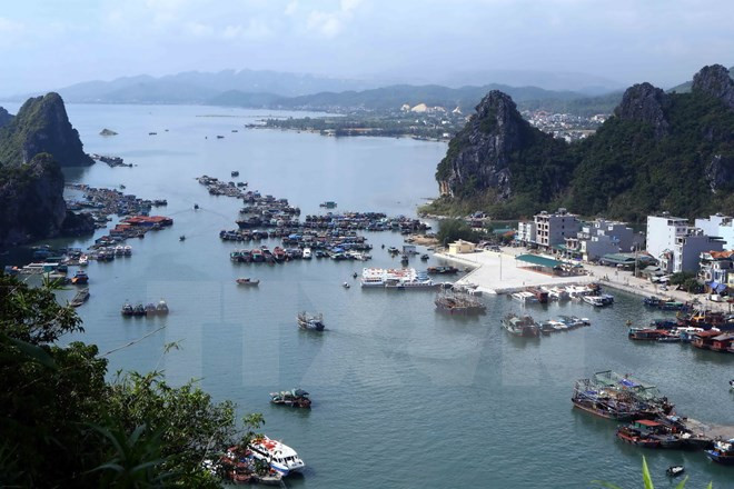 Quang Ninh needs special administrative-economic unit ảnh 1