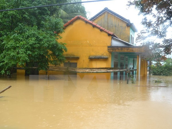 EU condoles with Vietnam over typhoon losses ảnh 1