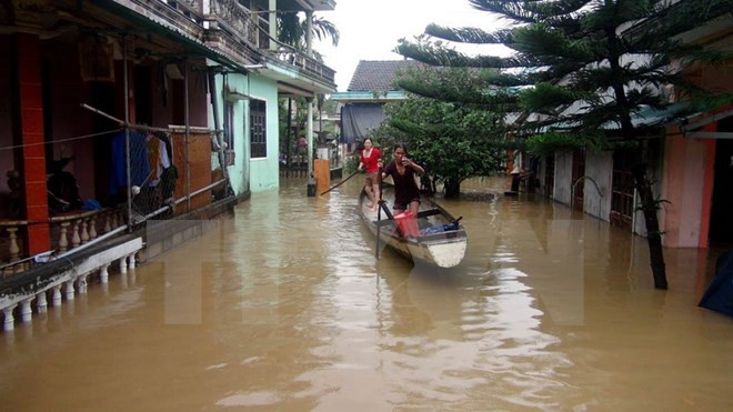 Japan sends water purifiers to aid storm-hit areas ảnh 1