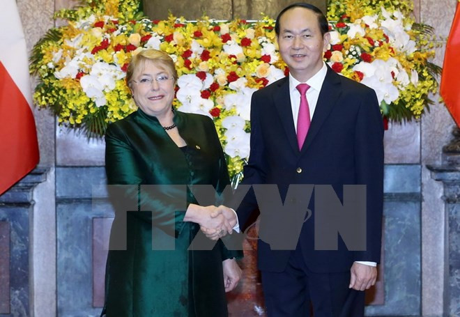 Vietnam, Chile Presidents discuss measures to forge bilateral ties ảnh 1