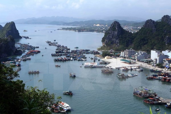 Quang Ninh appraises biodiversity preservation plan ảnh 1 Quang Ninh appraises biodiversity preservation plan ảnh 1