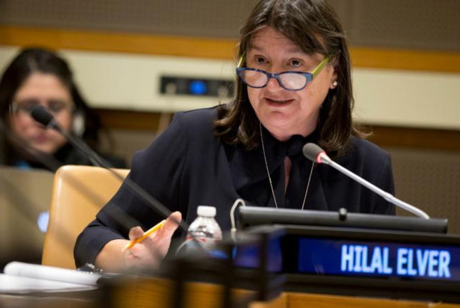 UN expert to assess food security in Vietnam ảnh 1