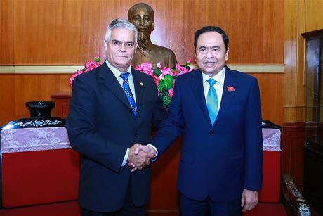 Vietnam, Cuba foster bilateral friendship ảnh 1