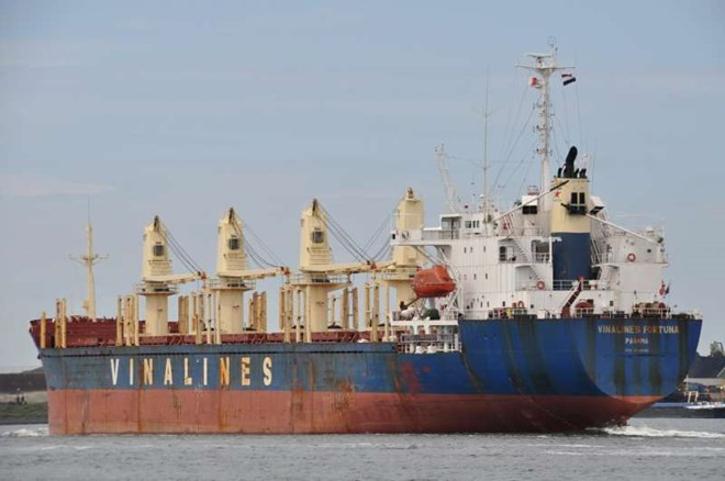 Vinalines fixes date for IPO on Sept 5 ảnh 1 Vinalines fixes date for IPO on Sept 5 ảnh 1