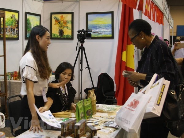 Embassy works to boost Vietnam-South Africa cooperation ảnh 1