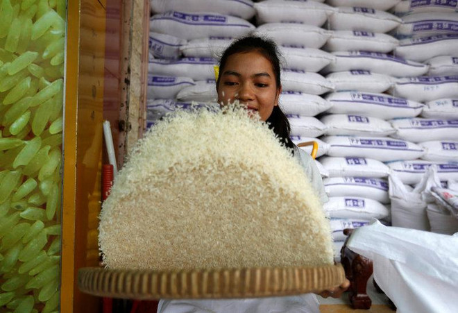 Cambodia’s rice export down in 7-month period ảnh 1