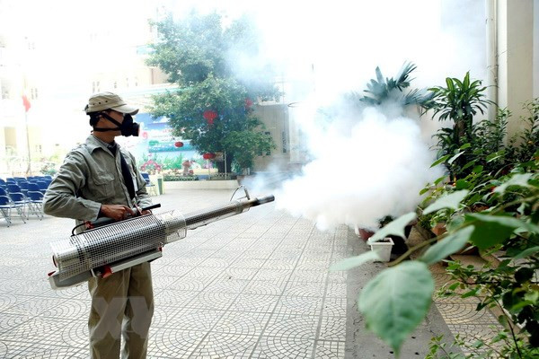 Citizens advised to apply drastic preventive measure against dengue fever ảnh 1