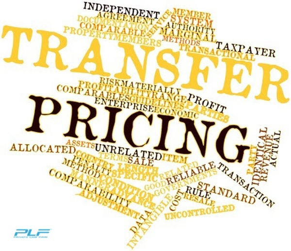 PM tells authorities to investigate tax evasion ảnh 1