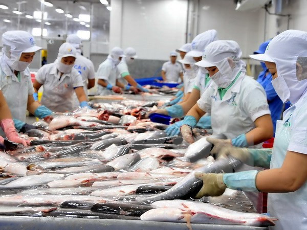 Tra fish exports surge in seven months ảnh 1