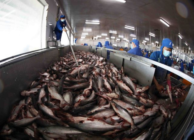 Seafood companies face a difficult third quarter ảnh 1 Seafood companies face a difficult third quarter ảnh 1