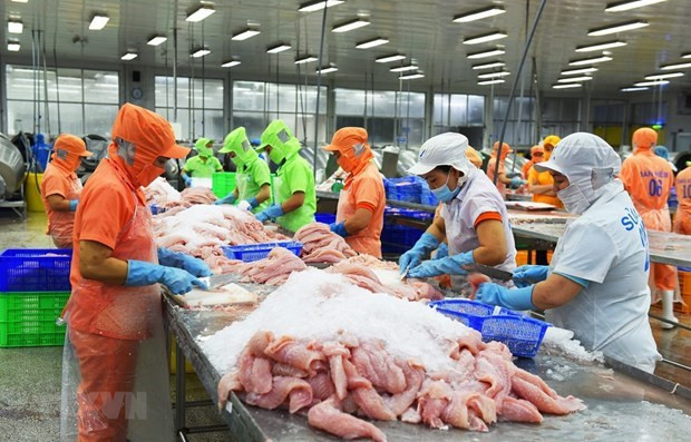 Vietnam reports trade surplus of nearly 4 billion USD in eight months ảnh 2