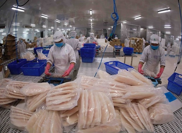 Seafood industry needs to adapt to market trends ảnh 1