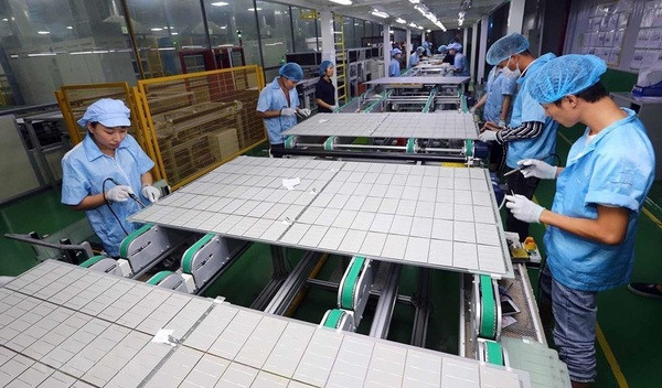 Record rise seen in number of new, resuming firms in 8 months ảnh 1