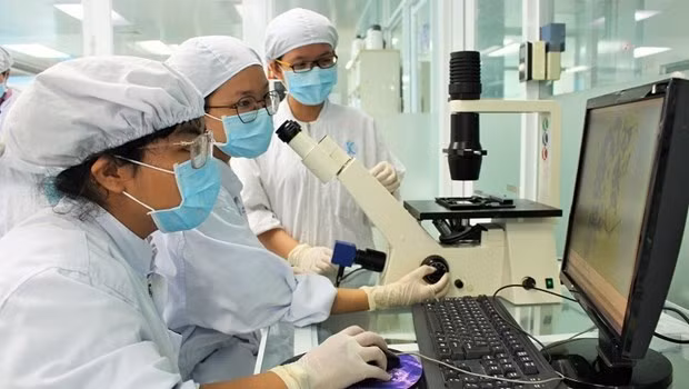 Education draws foreign investment ảnh 1
